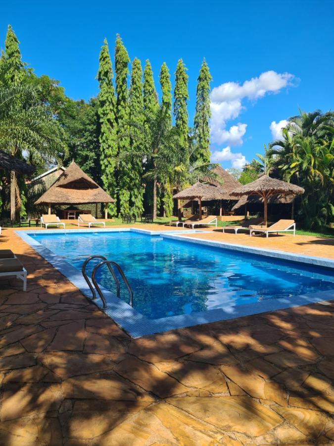 Honey Badger Lodge Moshi Ngoại thất bức ảnh