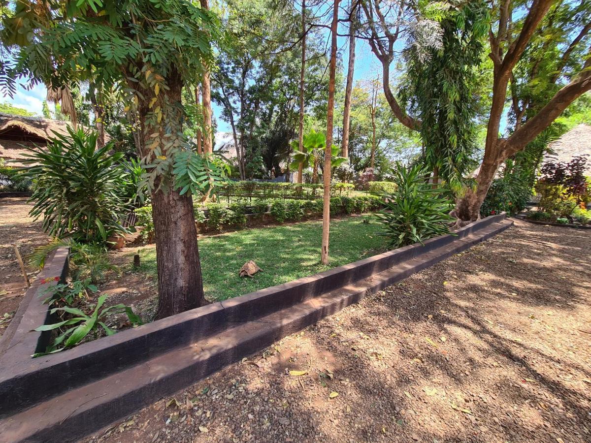 Honey Badger Lodge Moshi Ngoại thất bức ảnh