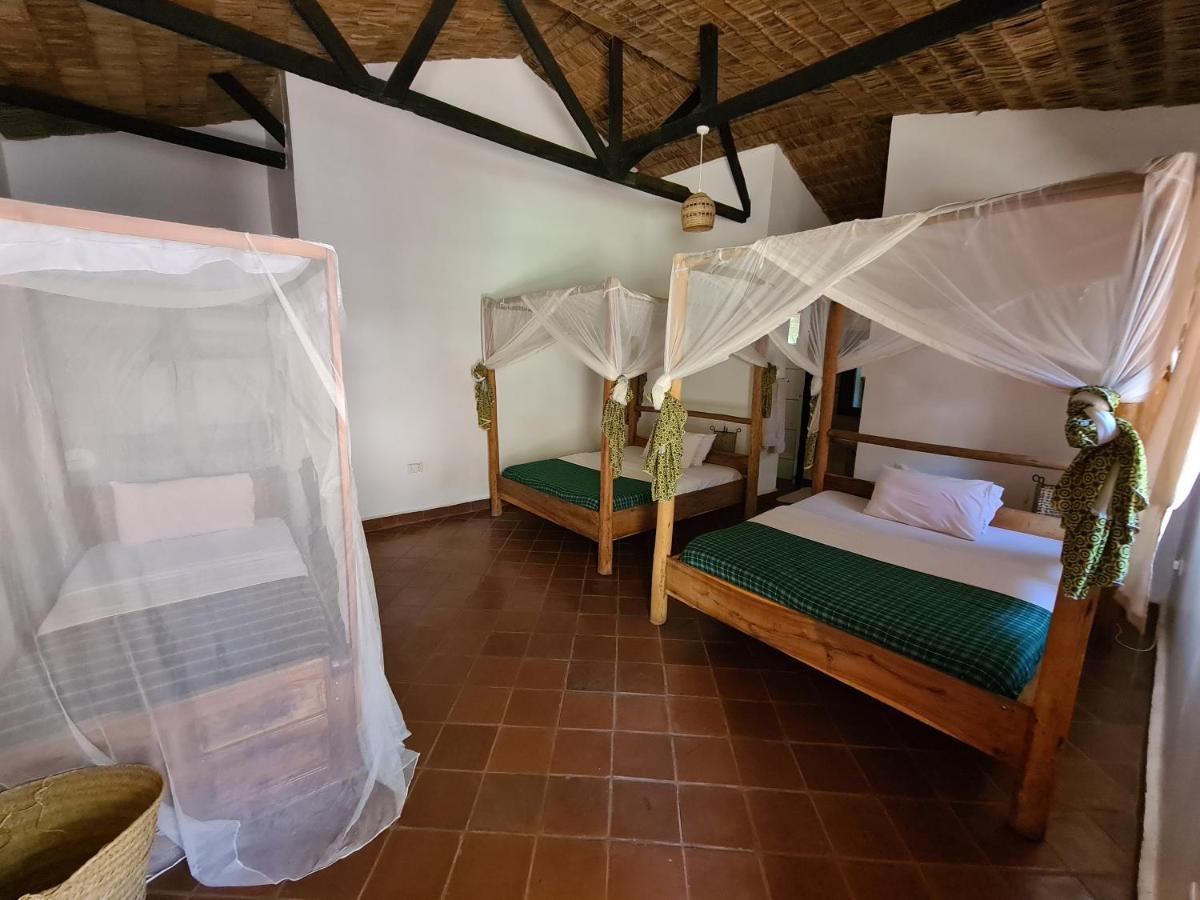 Honey Badger Lodge Moshi Ngoại thất bức ảnh