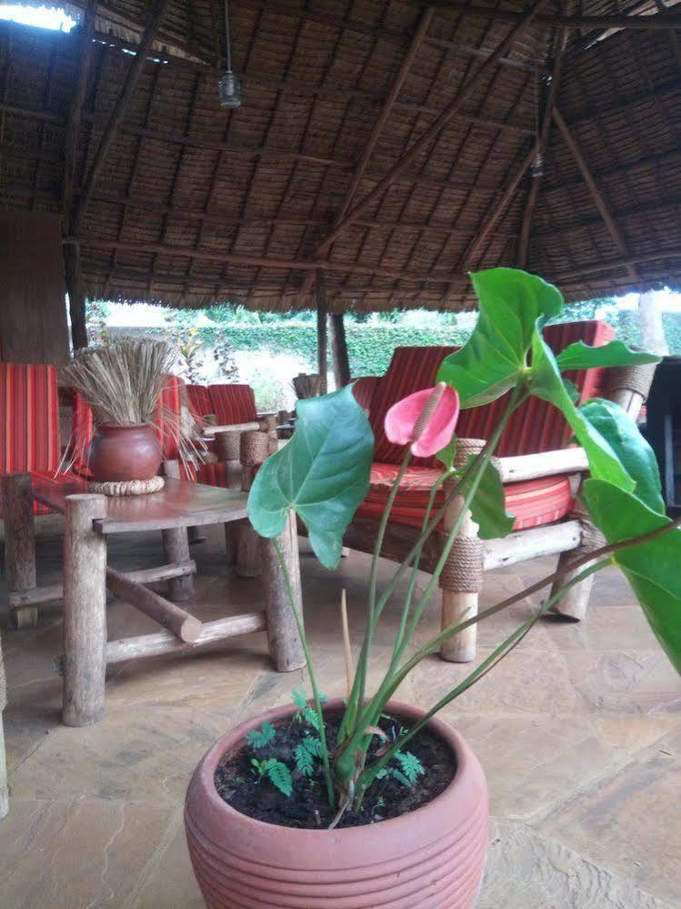 Honey Badger Lodge Moshi Ngoại thất bức ảnh