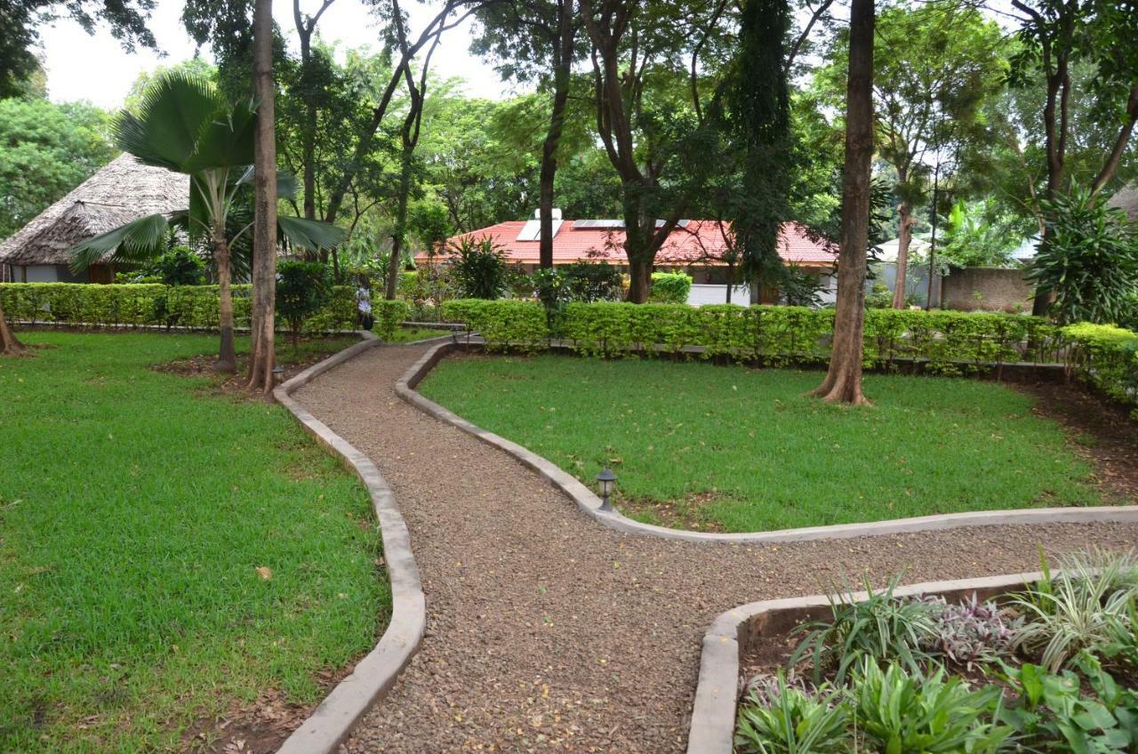 Honey Badger Lodge Moshi Ngoại thất bức ảnh